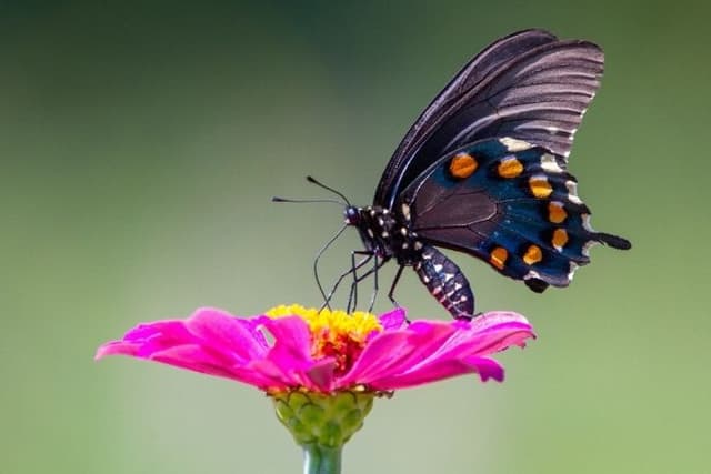 Feature Image
