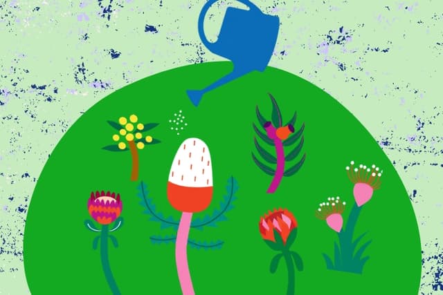 Feature Image