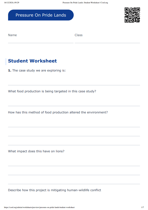 Sample Worksheet