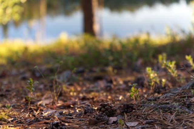 Feature Image