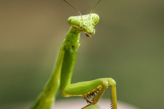 Feature Image