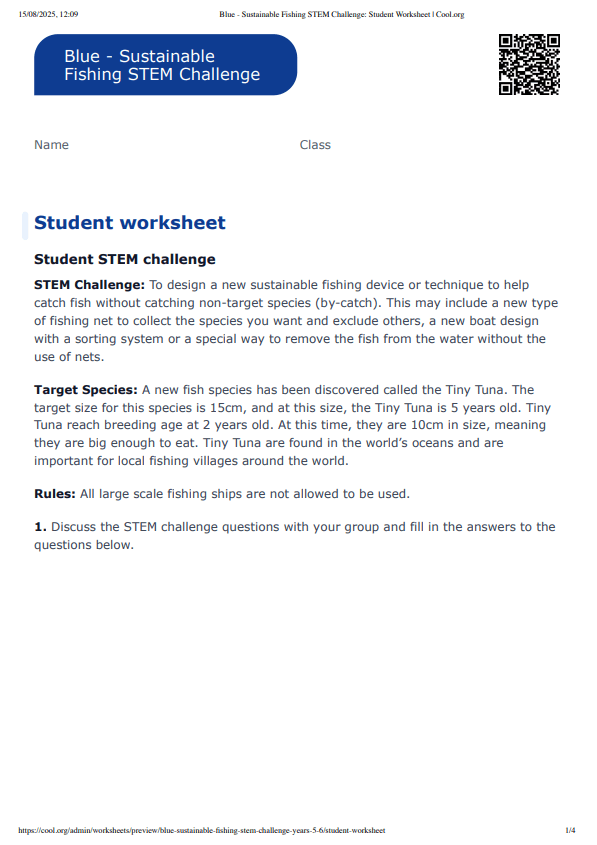 Sample Worksheet