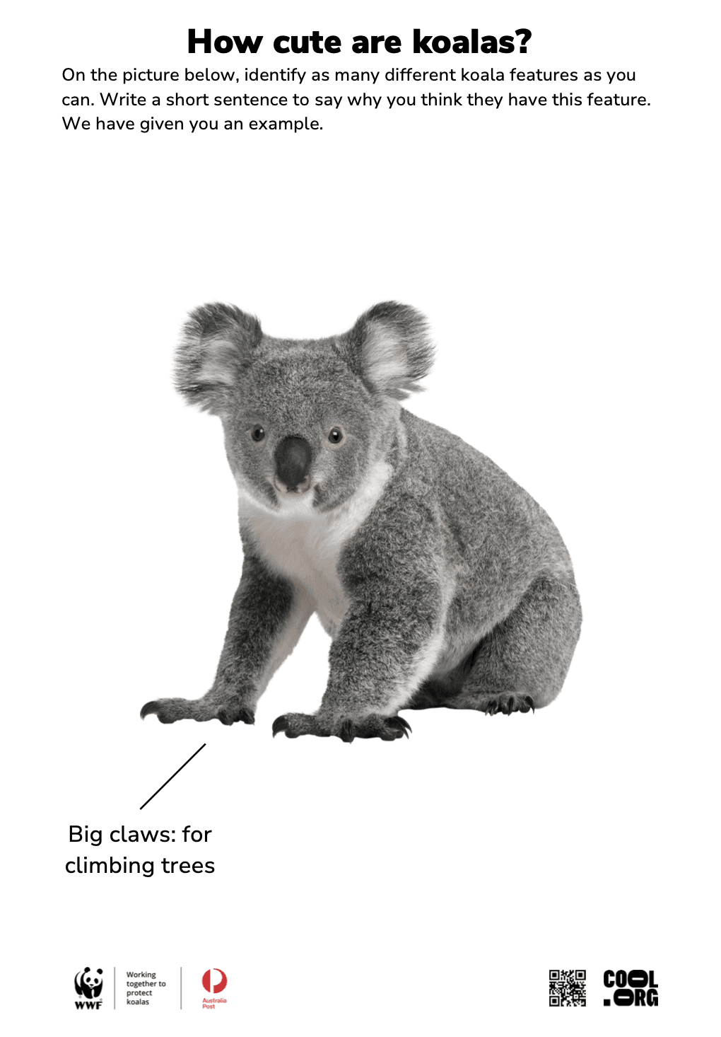 Sample Worksheet