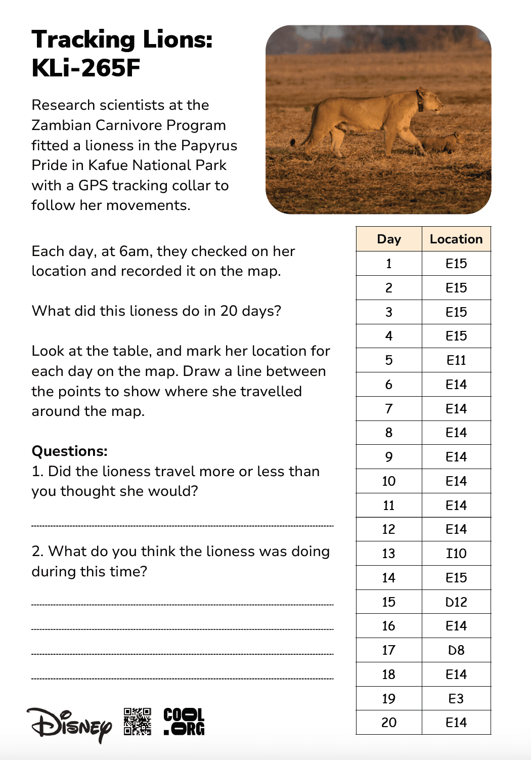 Sample Worksheet