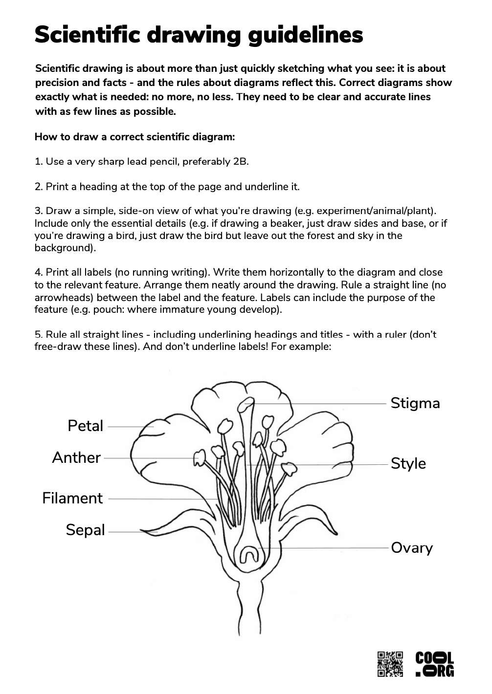 Sample Worksheet