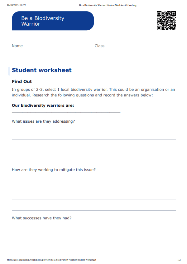 Sample Worksheet