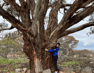 Making Your Social Action a Reality