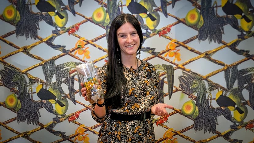 Digging Into Learning: Using Sustainability and Soil to Enhance Maths, Literacy and Science