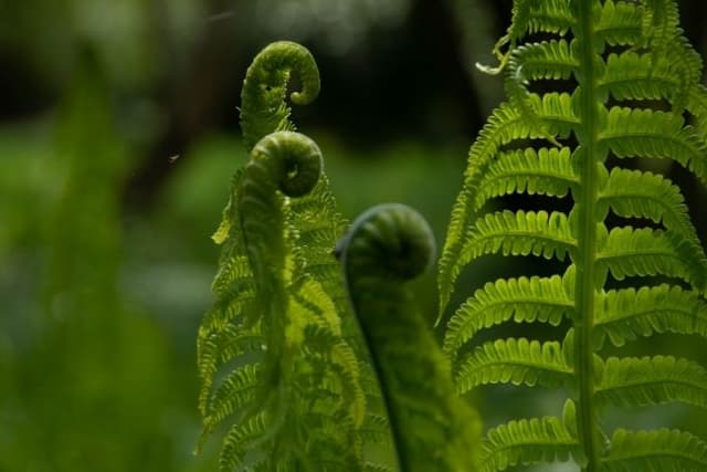 Feature Image