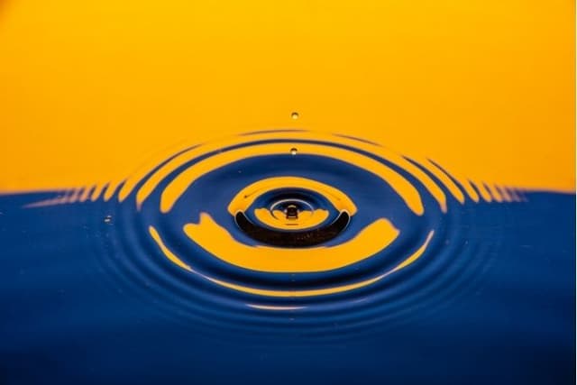 Feature Image