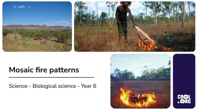 Calcinations Fire Pattern Mosaic Fire Patterns | Cool.org