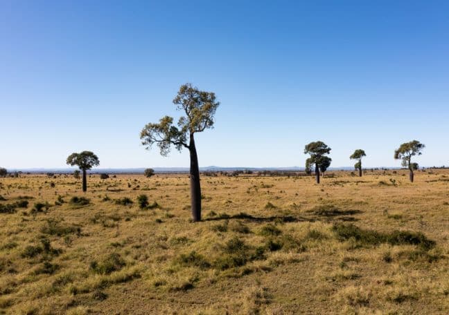 Deep Time History of Australia | Cool.org